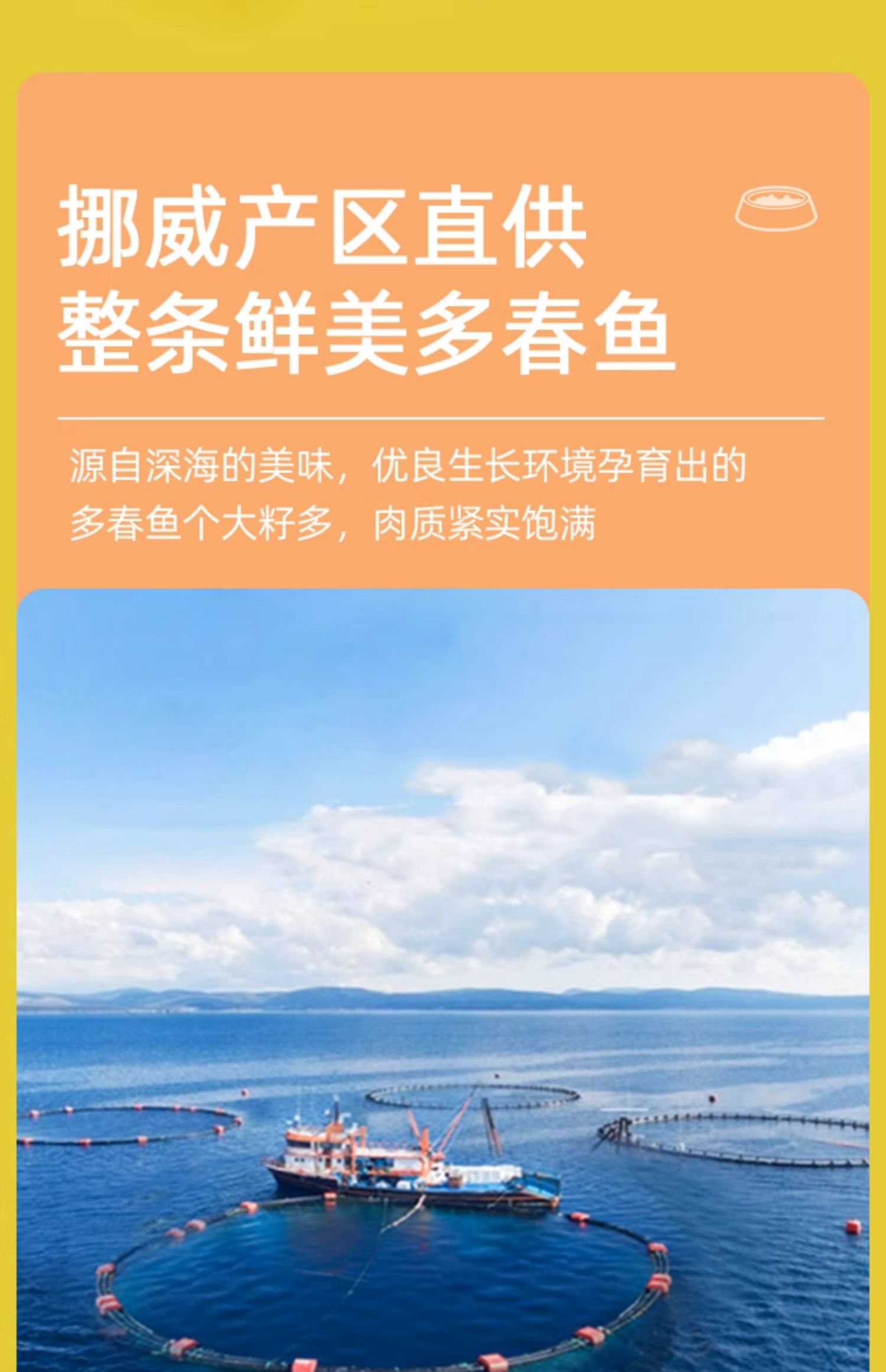【中国直邮】 盒马 宠物零食犬猫通用冻干多春鱼 60g 营养增肥小鱼干