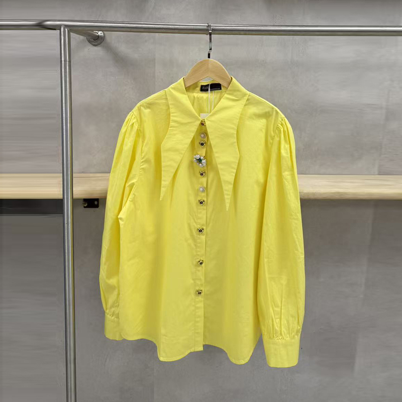 French Elegant Style 2026 Spring and Autumn New Shirt with Pointed Collar, Single-Row Metal Buttons, Long Sleeves, Niche Design Shirt