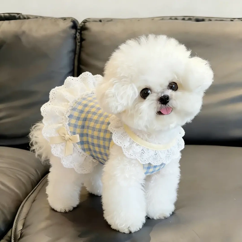 Summer Dog Clothes for Small Puppies, Teddy, Bichon, Pomeranian, Schnauzer, Cute Lace One-Piece Dress