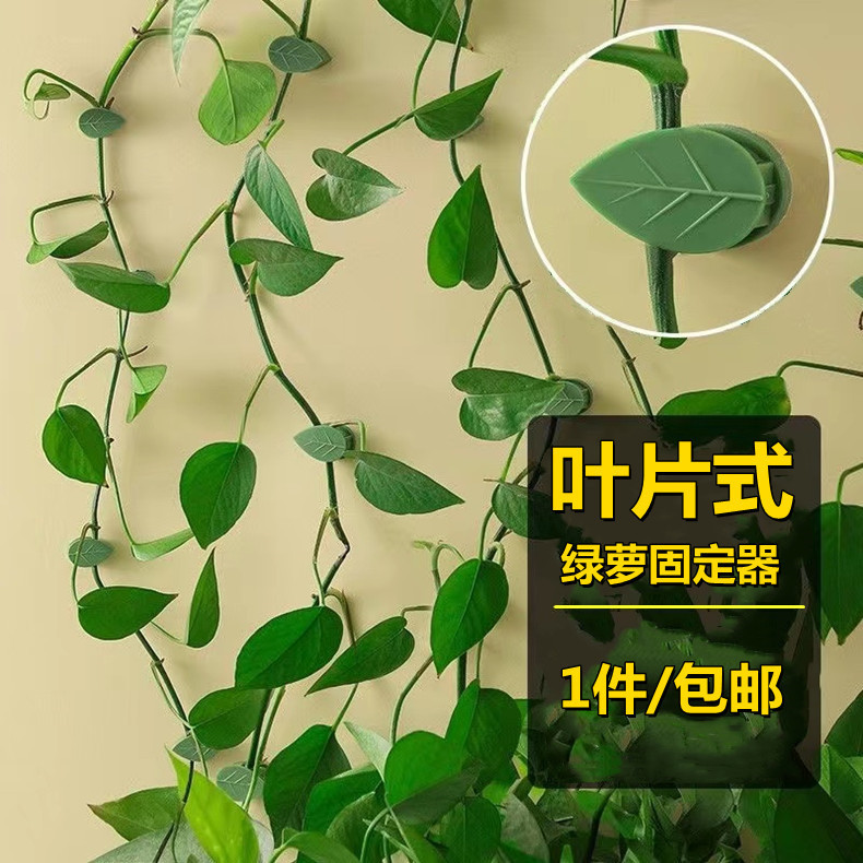 Green Plant Wall Mount, Wall Climbing Plant Holder, Wall-Mounted Green Plant Clip, Suction Cup for Climbing Plants, Vine Hook Clip