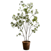 Juhan simulated green plants small leaves hanging clock bionic plants horse drunken wood interior decoration landscaping living room fake trees landing