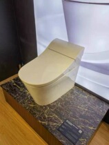 (Double 11 Kohler) Xinghui Smart Toilet 29778T-0