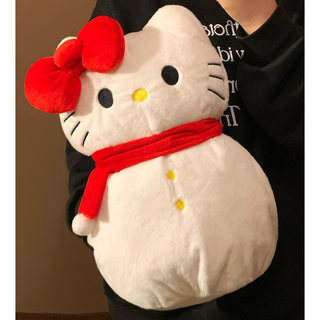 Cute Kt Cat Hot Water Bottle Rechargeable Explosion-Proof Warm Water Bag for Girls Winter Hand Warmer Baby Doll Plush Pillow