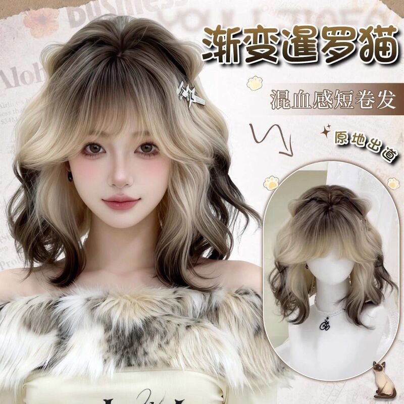 【Gradient Siamese Cat】Wig for Women with a Mixed-Race Look, Short Curly Hair, Siamese Gradient Style, Everyday Natural Full Wig 【Gradient Siamese Cat】Wig for Women with a Mixed-Race Look, Short Curly Hair, Siamese Gradient Style, Everyday Natural Full Wig