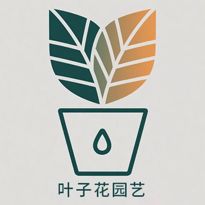叶子花