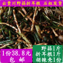 Chongqing stone pillar specialty fresh wild Houttuynia cordata root root wild garlic wild onion shallot onion scallion aid agricultural products vegetables