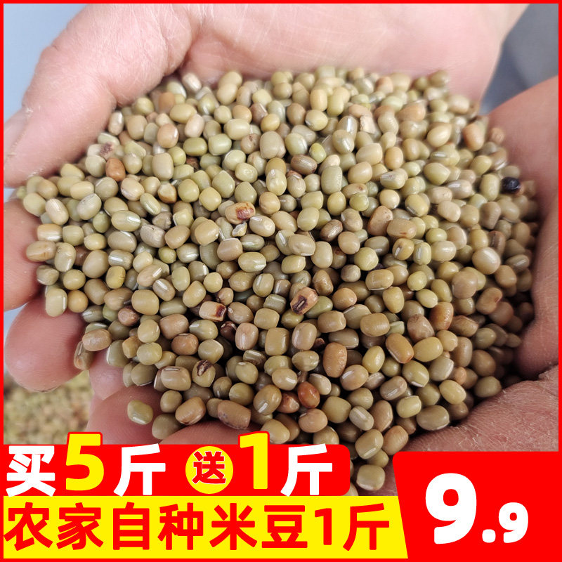 Chongqing Stone Pillar Special Production Plateau Rice Bean New Bean Rice Small Red Bean Sour Vegetable Bean Rice Farm Home Fertilizer Self 500g Agricultural Products