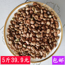 Chongqing Shilu specialty farmers self-produced dry broad bean new product 5kg broad bean green bean green bean broad bean seed Luohan Bean