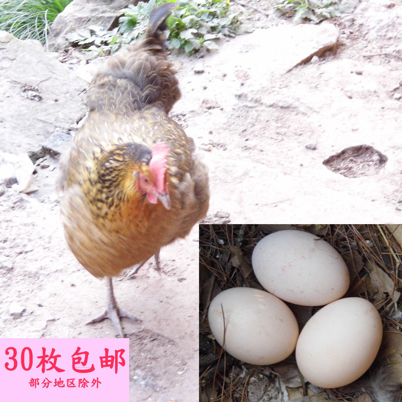 Chongqing stone pillar native farm natural countryside free-range fresh original ecological soil eggs 30 pieces
