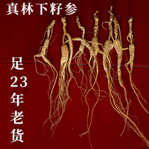 Special grade 18-year-old wild understory seeds wild ginseng understory ginseng Changbai Mountain ginseng wild old ginseng dried ginseng