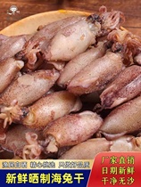 Small sea hare cuttlefish seed cuttlefish sea hare dry goods 500g non-special grade full seed large pen tube fish small squid young seafood