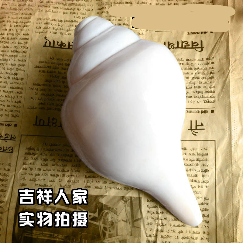 The Sea Snail Boutique Grand right-hand levosea snail white sea snail can blow up-Taobao