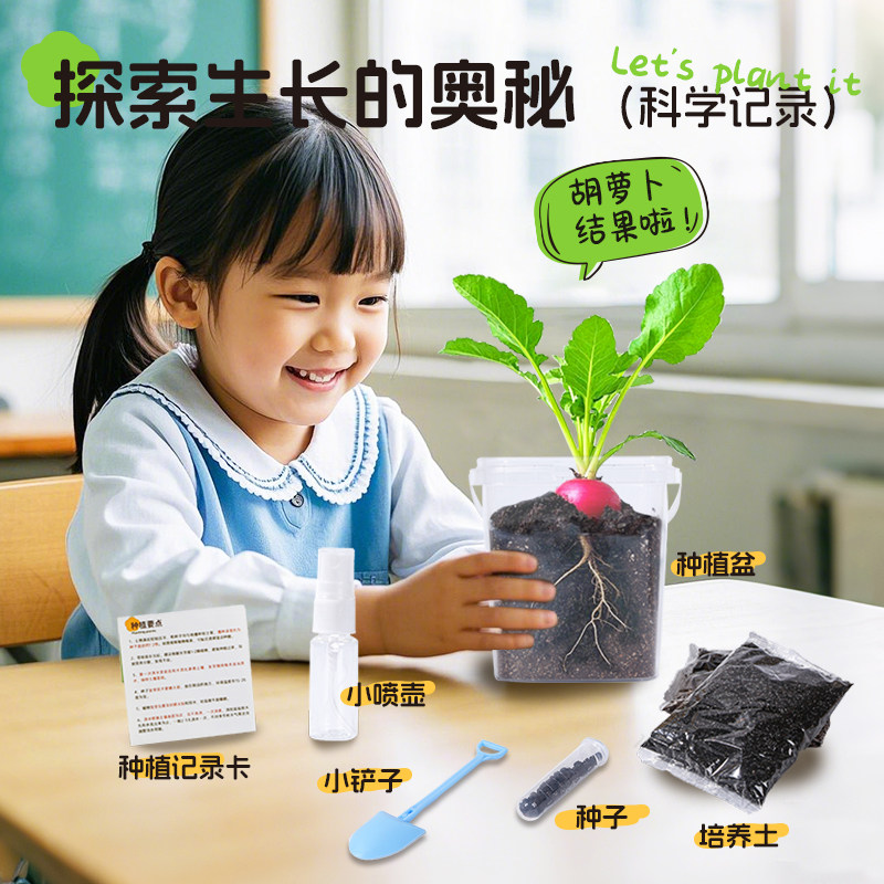 芽苗菜育苗桶:轻松在家种植绿色蔬菜,享受无土栽培的乐趣🌿🌱-蔬菜机-淘宝百科网