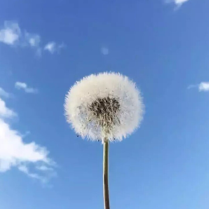 小煜