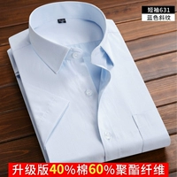 Короткий рукав, 40% хлопок