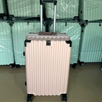 Порошок сакура [алюминиевая рама] SX11