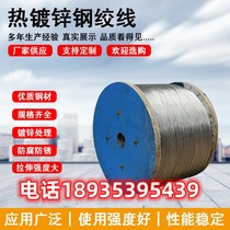 Hot-dip galvanized steel strand pull wire steel wire greenhouse dragon fruit grape rack kiwi fruit pull wire stainless steel wire wire rope