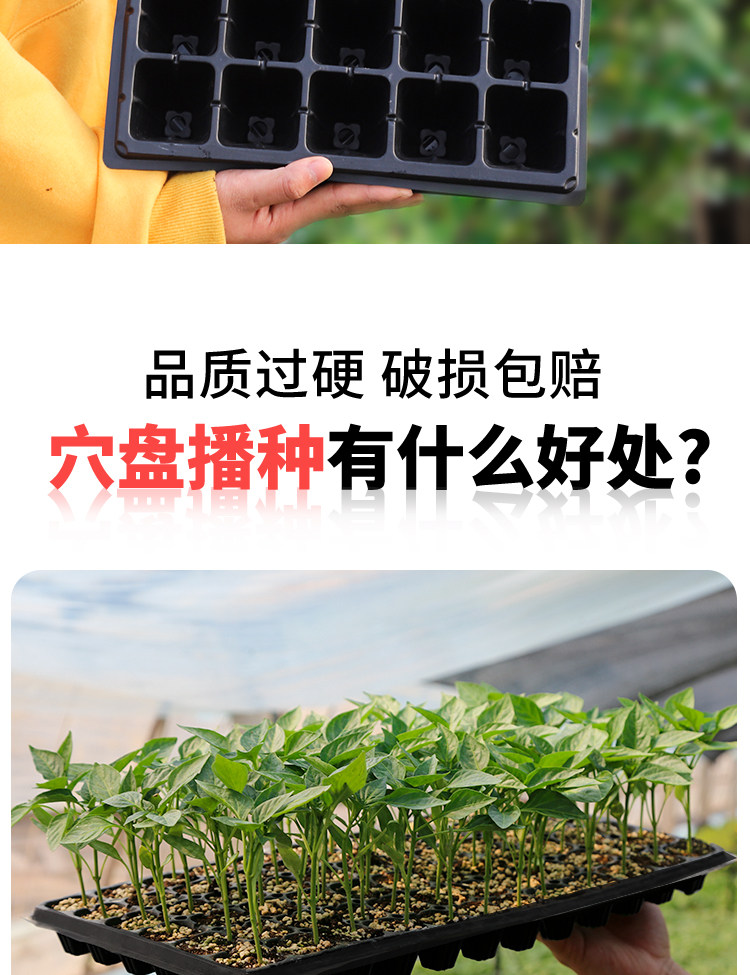 Рассада/питание 育苗盘穴盘托盘多肉秧苗盘西瓜蔬菜苗育苗盘扦插多肉加厚塑料秧盘
