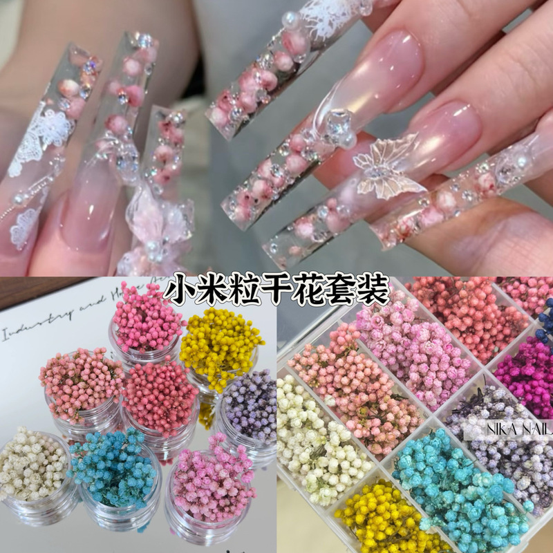 Trendy Popular Product: Xiaomi Li Dry Flower Set Material Kit for Flower Painting, Small Rose Nail Art, Dried Flower Materials, Nail Decorations Trendy Popular Product: Xiaomi Li Dry Flower Set Material Kit for Flower Painting, Small Rose Nail Art, Dried Flower Materials, Nail Decorations