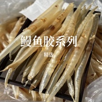 Selected eel gum 24 25 25 Head 16 Head Old wax Deep Sea Elderly child Pregnant Woman Gum Nourishing no fishy smell