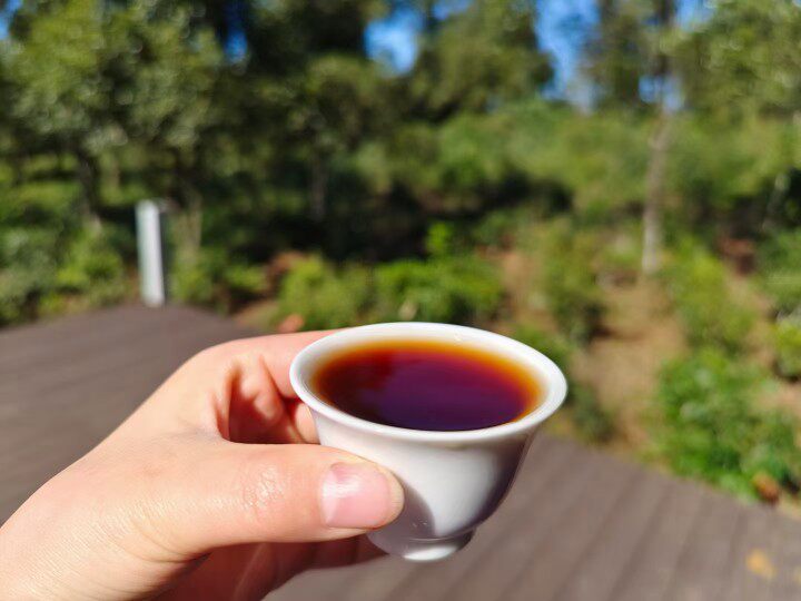 柒碗茶叶铺的LOGO