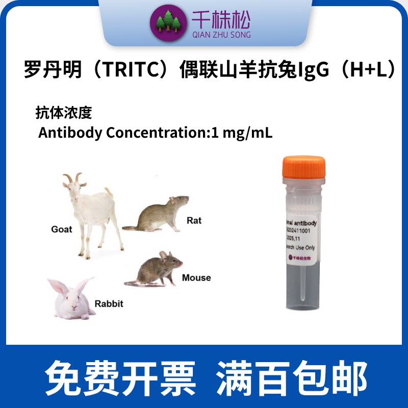 罗丹明（TRITC）偶联山羊抗兔IgG（H+L）WB实验抗体试剂一抗二抗