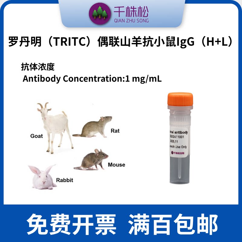 罗丹明（TRITC）偶联山羊抗小鼠IgG（H+L）WB抗体试剂一抗二抗