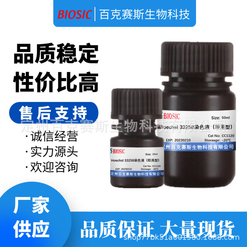 Hoechst 33258染色液（即用型） 实验室科研用试剂 百克赛斯生物