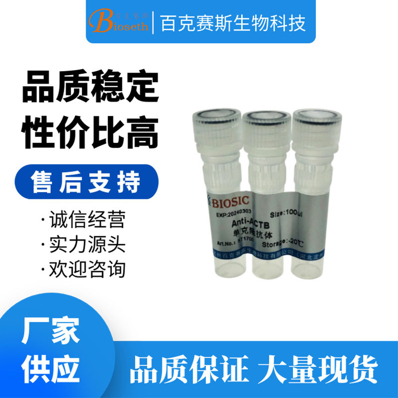 Anti-ACTB Monoclonal antibody 实验用单克隆抗体 百克赛斯生物