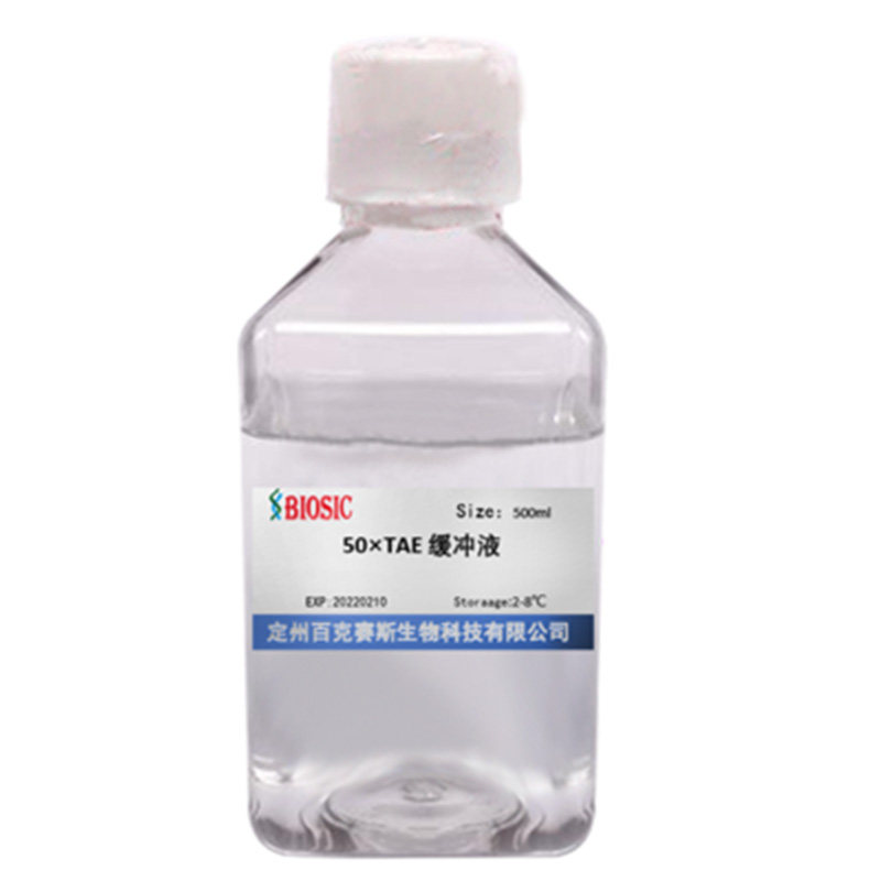 50&times;TAE缓冲液 核酸电泳缓冲液 实验室科研用试剂 百克赛斯生物