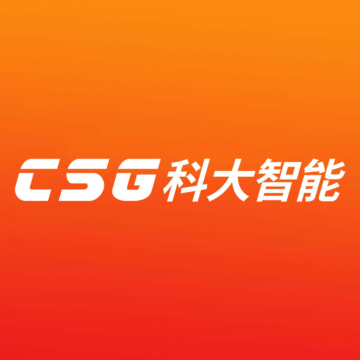CSG旗舰店