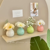 Цвет вазы сухой цветок простой набор праздничный отдел офис на рабочем столе мини -маленький пакет артефакт