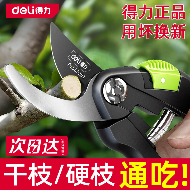 得力园艺剪刀果树修枝剪剪树枝专用剪刀修剪枝花修枝花艺修花剪子