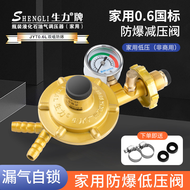 Raw Power New National Standard Household 0 6 Double Nozzles Explosion Protection Gas Cooker Water Heater booster Liquefied Petroleum Gas pressure reducing valve-Taobao