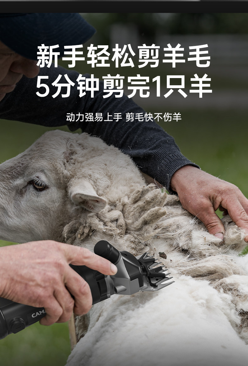 Ножницы None CAMATON