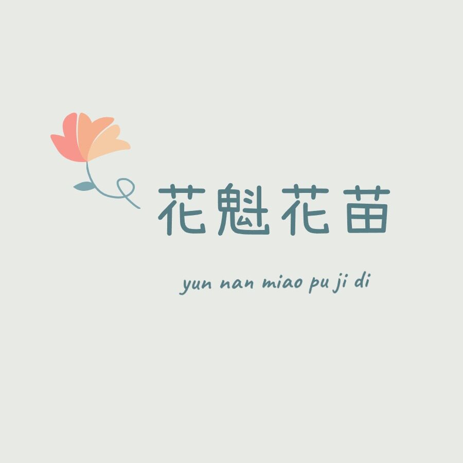 云南花魁花苗的LOGO