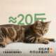 Wall-Mounted Cat Scratching Board for Home Use, Durable and Non-Shedding, Small Cat Climbing Frame, Self-Adhesive, No Residue, Vertical Cat Scratching Post