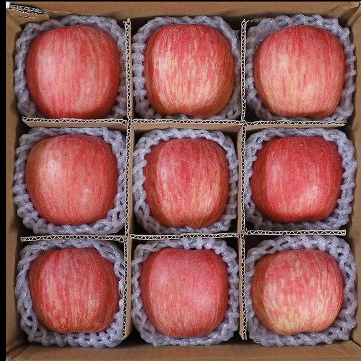 2025年青岛明月苹果脆甜多汁当季水果如何选购？顺丰包邮的新鲜保障你知道吗？