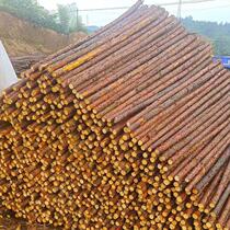 Piling wood river piling special wood engineering piling pier round wood pile timber river berm wooden pile flood control wooden pile