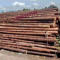 Slope protection foundation 3 meters fir solid wood surveying 6 meters pine wood piles flood control wood piles piling wood vegetable garden fragrant fir with leather