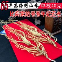 65-year-old ginseng under the forest Changbai Mountain dried ginseng old ginseng pruned wild ginseng soaked in wine and soup gift box
