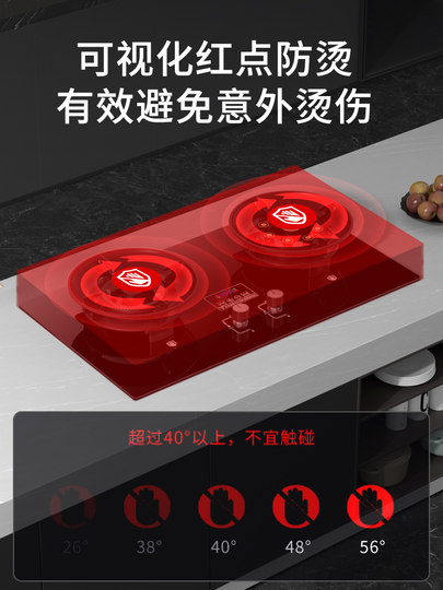 Royalstar Gas Stove for Home Use, Dual-Burner Natural Gas Stove, Embedded Dual-Use Liquefied Gas Stove, Gas Stove with Strong Flame and Timer