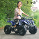 Kishiko mini ຂະຫນາດນ້ອຍ 49cc off-road ພູເຂົາສີ່ລໍ້ ATV ສີ່ຫລ່ຽມໃຫ້ເຊົ່າລົດເດັກນ້ອຍກະຕຸກໄຟຟ້າ ATV