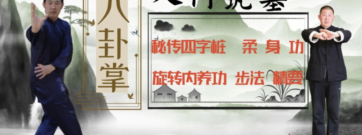 八卦掌基本集 27 セクション