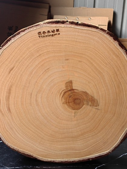 泰兴银杏木砧板加厚菜墩实木圆形肉墩家用白果树抗菌防霉切菜板整