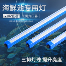 LED Seafood Pool Special Light Bar Aquatic Floodlights 220V waterproof Tonic Light Blue Hotel Fish Tank Shrimp Pool Light