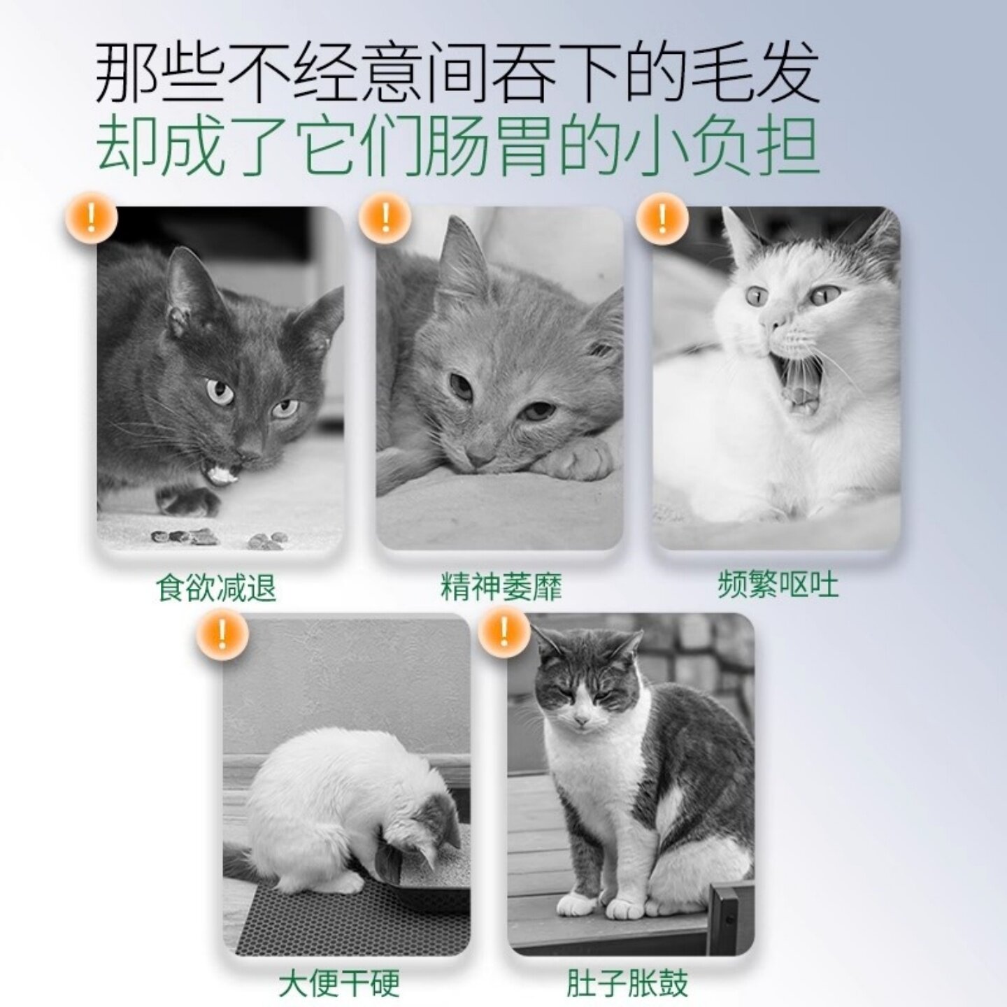 🐾 宠物健康新选择 | 抱抱的礼物猫草化毛球片 🧺-猫化毛膏-淘宝好物网