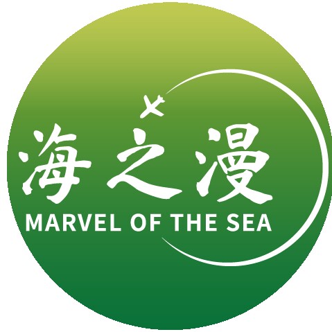 深圳华宝国旅龙岗专营店的LOGO