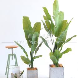 Tape leaves feel material simulated banana tree tropical broad-leaf green plants Nordic INS style indoor living room plants