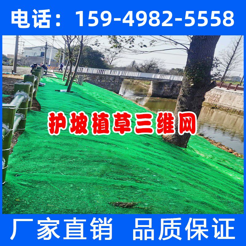 Three-dimensional Vegetation Network Protection Slope Solid Soil Planting Grass Nets Three-dimensional Water Earth Protection Blanket Manufacturer Riverway Governance Garden Forest Greening Network-Taobao